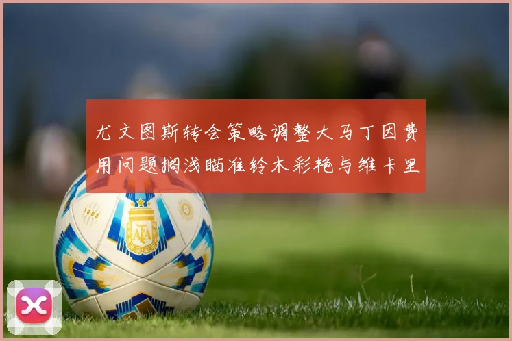 尤文图斯转会策略调整大马丁因费用问题搁浅瞄准铃木彩艳与维卡里奥